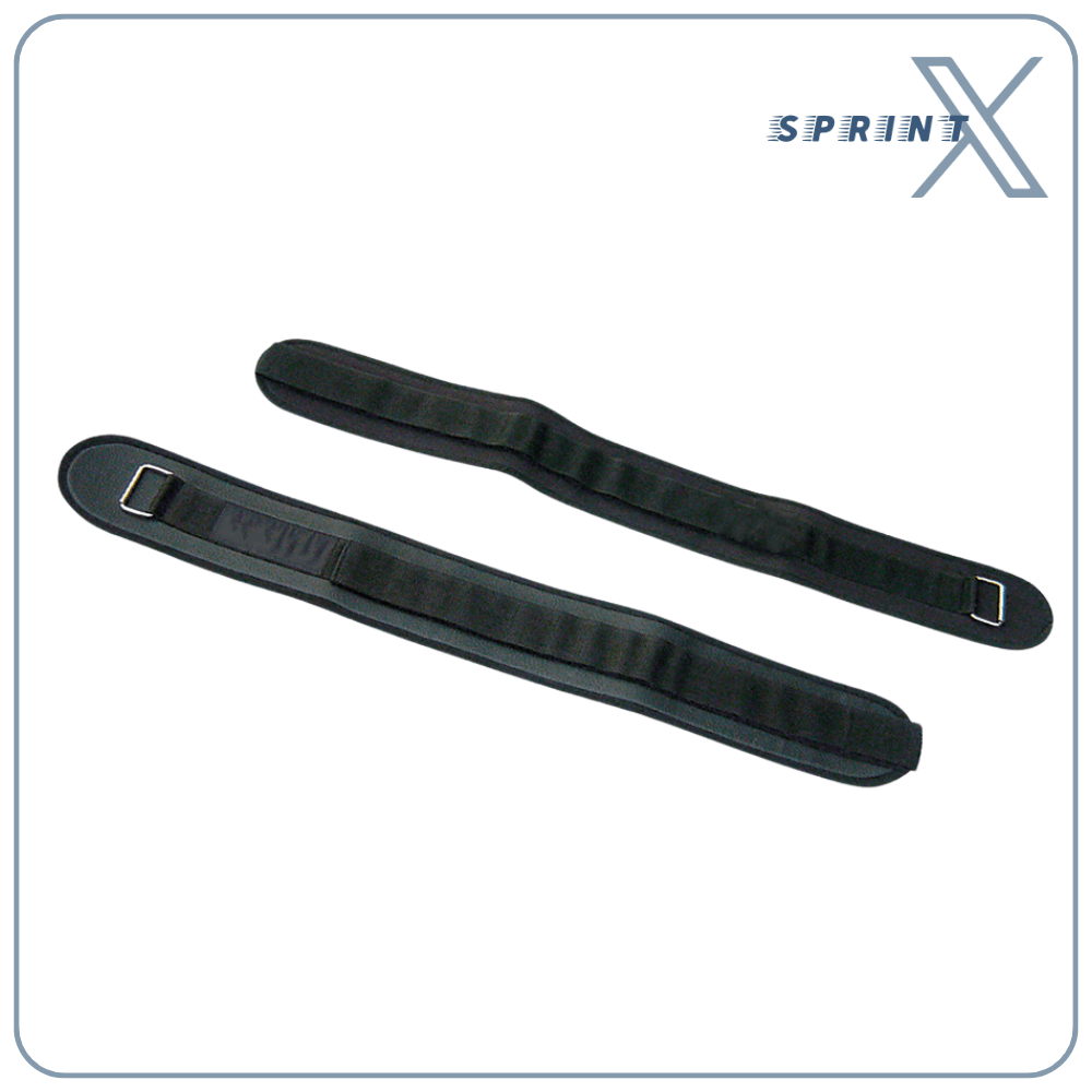 Gym Equipment